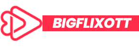 bigflixott.shop